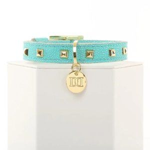 Devious Dogs Turquoise Dog Collar
